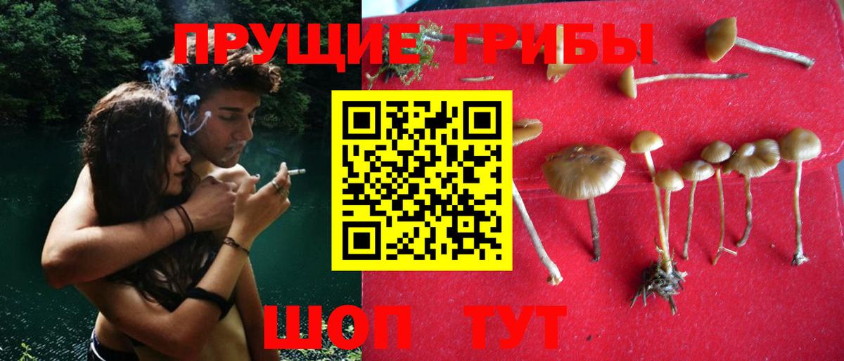 Псилоцибиновые грибы прущие грибы Карпинск